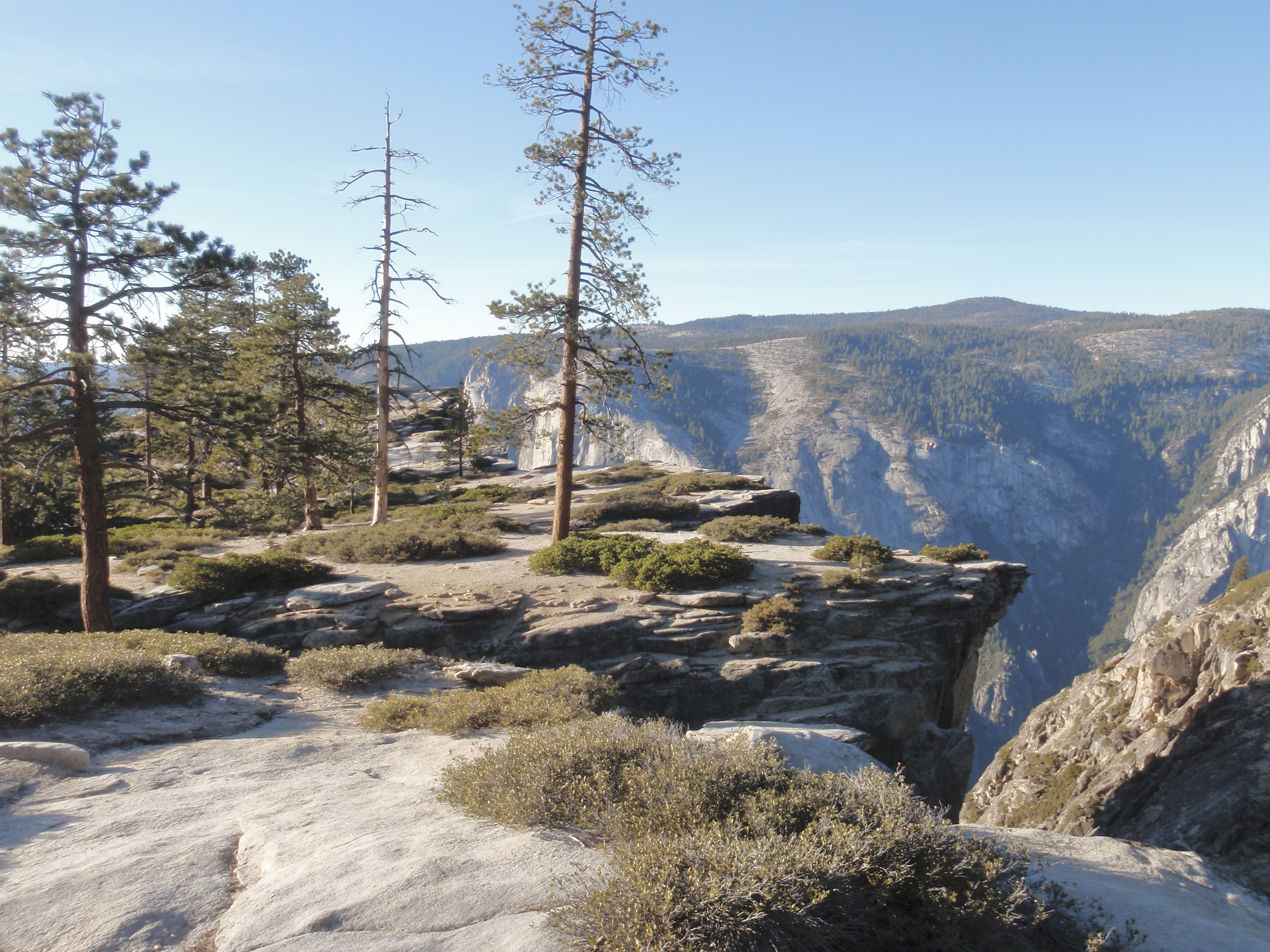 Bäume auf einem lang gezogenen Fels – Ruhe und Präsenz