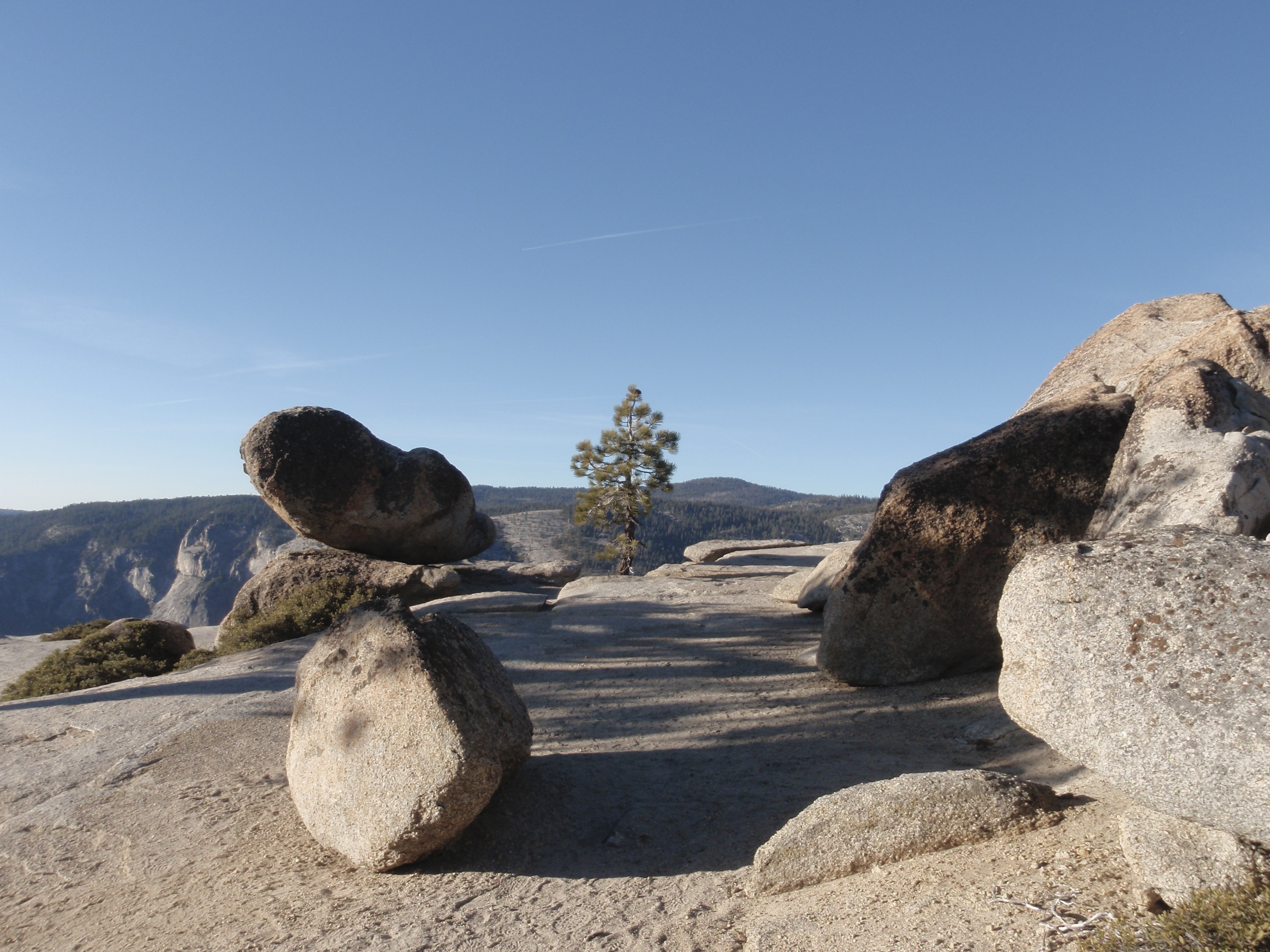 Bäume auf Fels – Präsenz und Weite